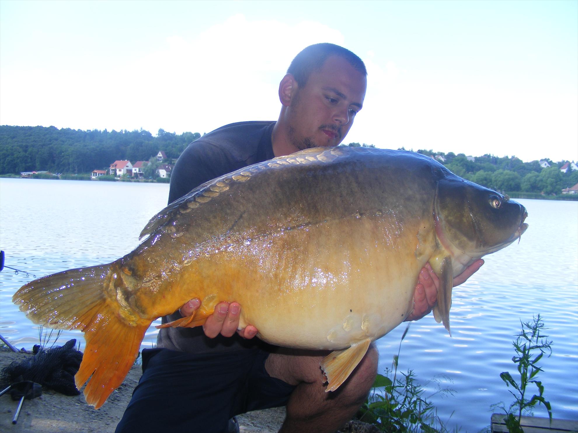 Harsanyi 2013 - dscf6367.JPG